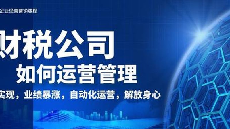 个人税务筹划定制方案