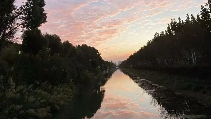 商标维权路上那些容易栽跟头的坑